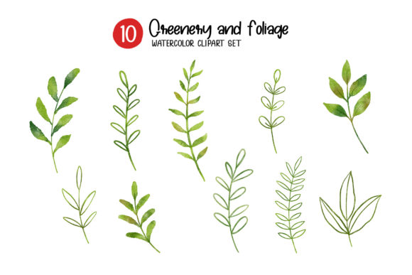 Download Greenery and Foliage Watercolor Set. - Green Collection
