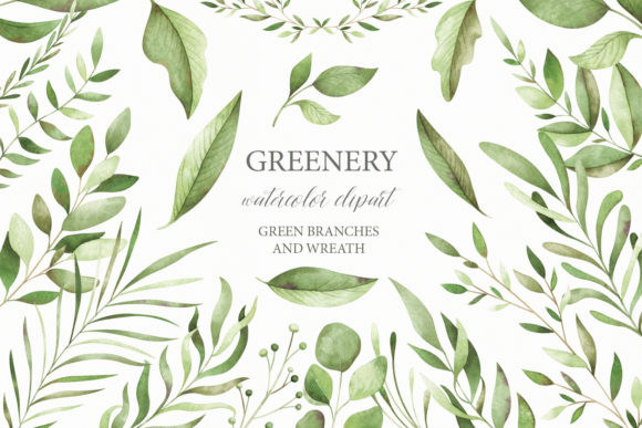 Download Watercolor Greenery Clipart - Green Collection