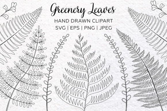Download Greenery Clipart. Floral Leaf Design. - Green Collection